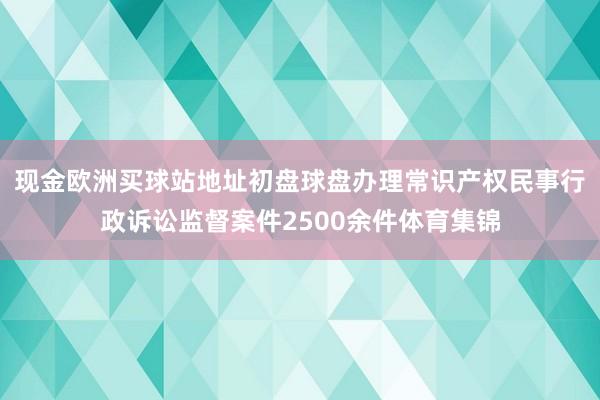 现金欧洲买球站地址初盘球盘办理常识产权民事行政诉讼监督案件2500余件体育集锦