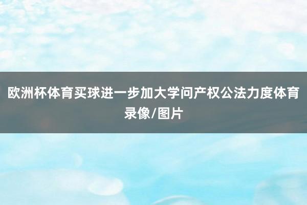 欧洲杯体育买球进一步加大学问产权公法力度体育录像/图片