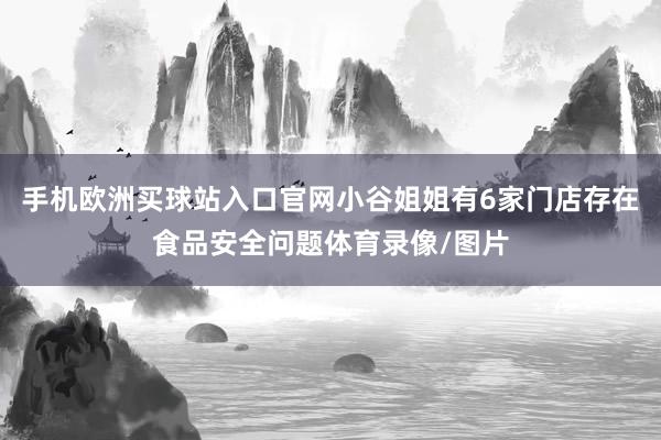 手机欧洲买球站入口官网小谷姐姐有6家门店存在食品安全问题体育录像/图片