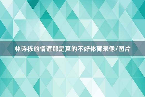 林诗栋的情谊那是真的不好体育录像/图片