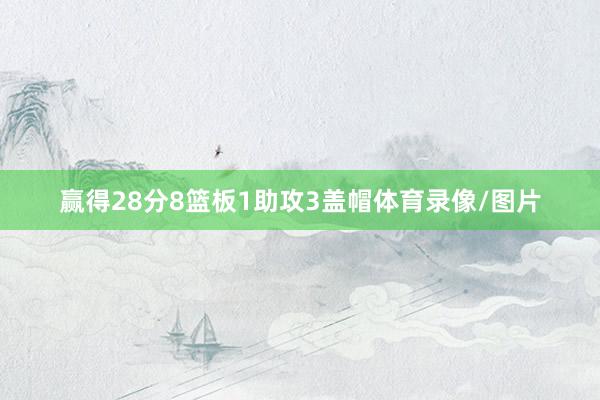 赢得28分8篮板1助攻3盖帽体育录像/图片